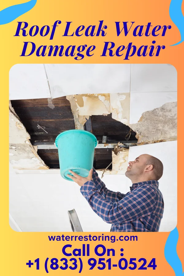 Roof Leak Water Damage Repair in Cole, OK